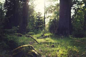 kalikasan, poem-about-nature