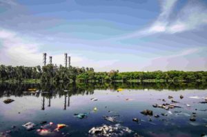 douse waste incineration 2020-Bravo Filipino