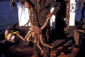 Alaskan Crab Legs - Total information in 2020