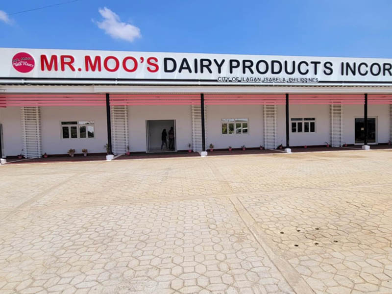 Mr Moo
