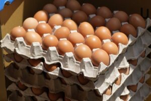 Philippines Advances Cage-Free Egg